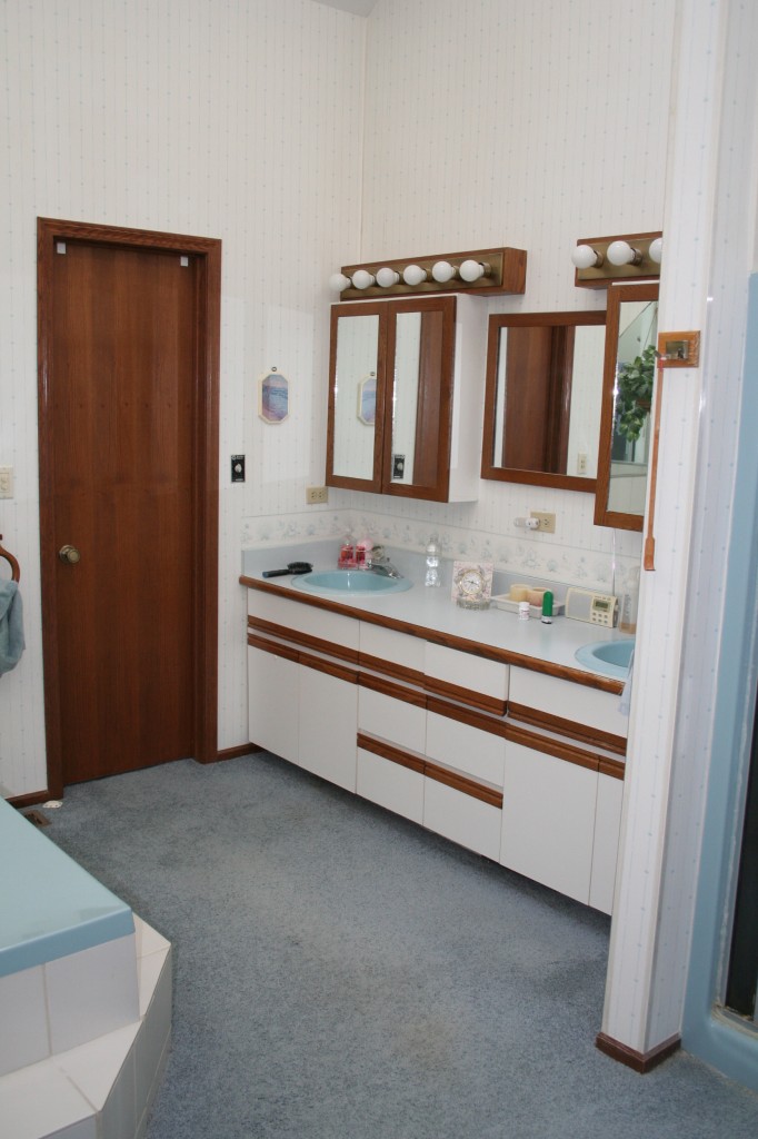 Carpeted Bathroom floors had to go!